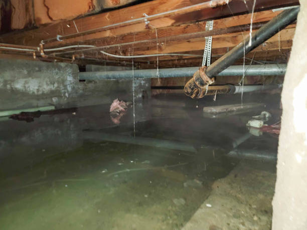 Best Flood restoration services  in Guymon, OK