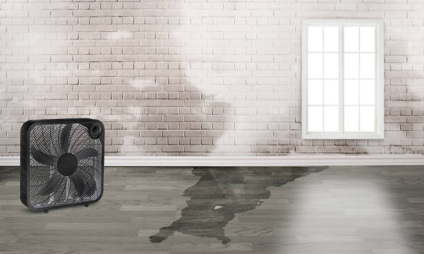 Best Carpet water damage restoration  in Guymon, OK